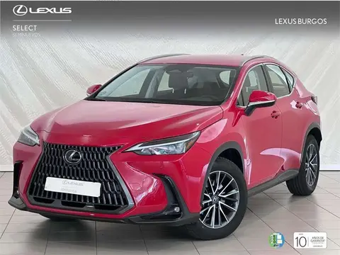 Used LEXUS NX Hybrid 2023 Ad 