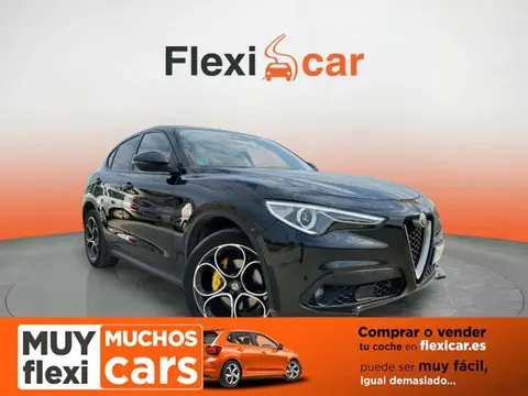 Used ALFA ROMEO STELVIO Diesel 2019 Ad 