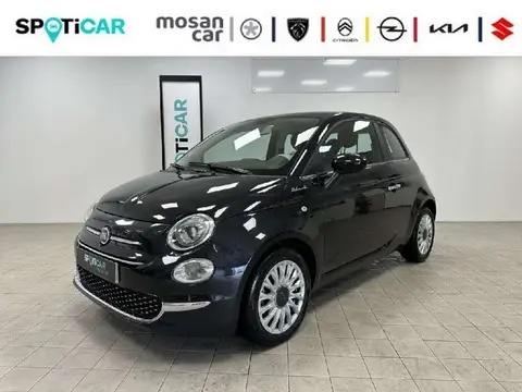 Used FIAT 500 Petrol 2023 Ad 