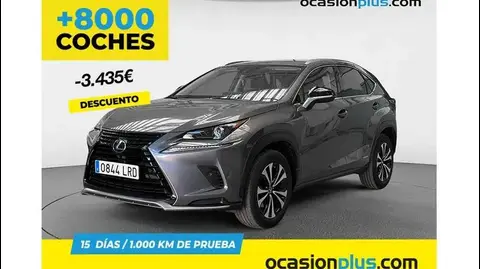 Used LEXUS NX Hybrid 2021 Ad 