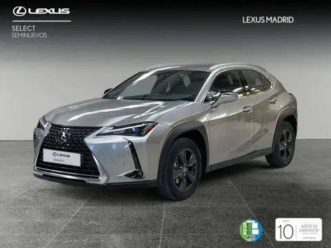 Used LEXUS UX Hybrid 2024 Ad 