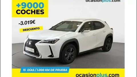 Used LEXUS UX Hybrid 2023 Ad 