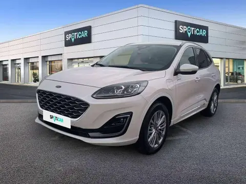 Used FORD KUGA Hybrid 2022 Ad 