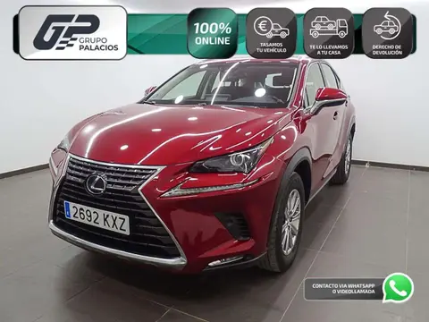 Annonce LEXUS NX Hybride 2019 d'occasion 