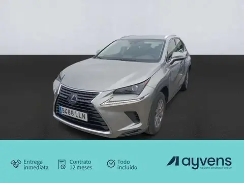 Annonce LEXUS NX Hybride 2020 d'occasion 