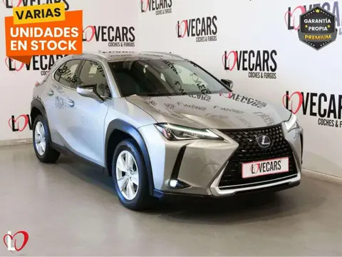 Annonce LEXUS UX Hybride 2021 d'occasion 