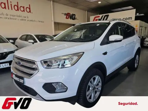 Annonce FORD KUGA Essence 2019 d'occasion 