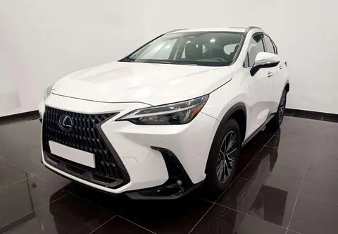 Annonce LEXUS NX Hybride 2023 d'occasion 