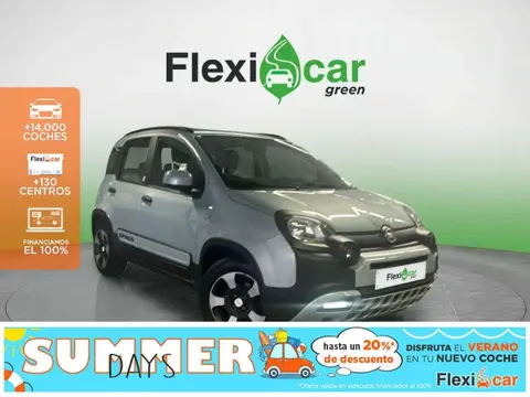 Used FIAT PANDA Hybrid 2020 Ad 