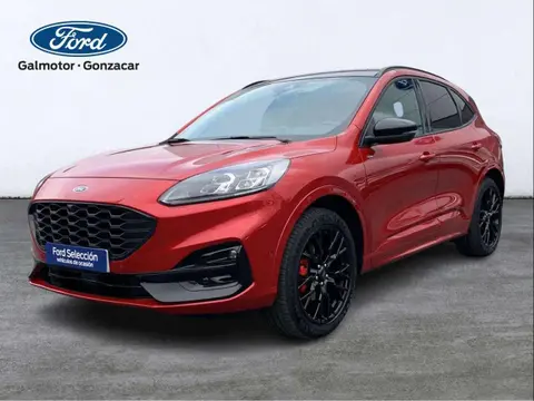 Annonce FORD KUGA Essence 2024 d'occasion 