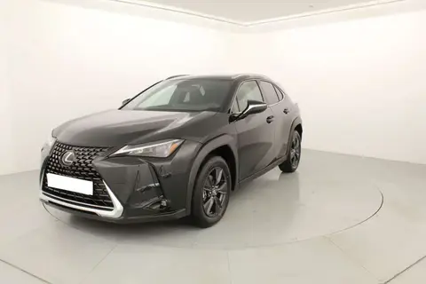 Used LEXUS UX  2023 Ad 