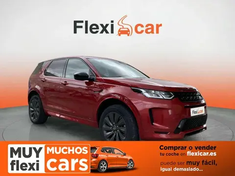 Used LAND ROVER DISCOVERY Diesel 2019 Ad 