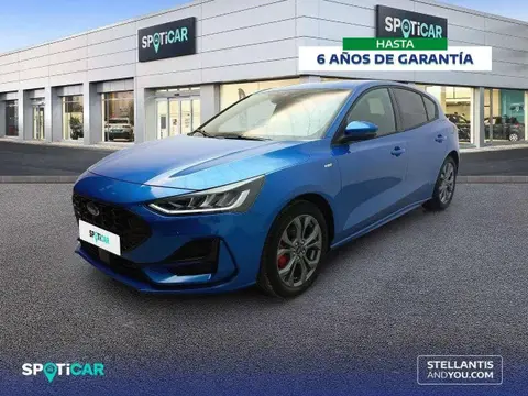 Used FORD FOCUS Petrol 2023 Ad 