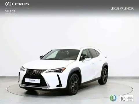 Used LEXUS UX Hybrid 2023 Ad 