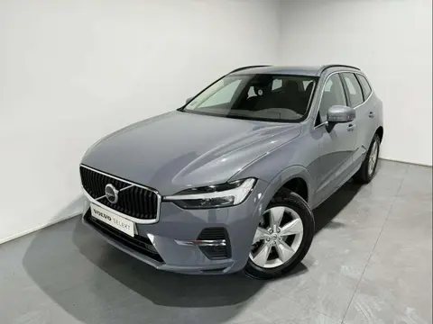 Used VOLVO XC60 Diesel 2023 Ad 