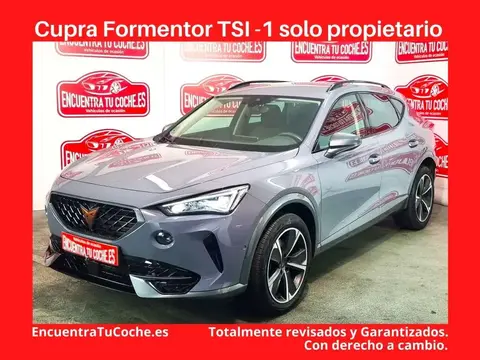 Used CUPRA FORMENTOR Petrol 2022 Ad 