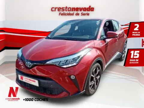 Used TOYOTA C-HR Hybrid 2020 Ad 