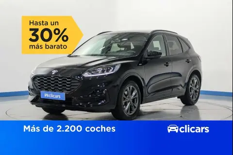 Annonce FORD KUGA Essence 2022 d'occasion 