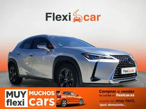 Annonce LEXUS UX Hybride 2020 d'occasion 