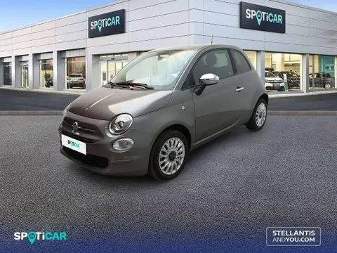 Used FIAT 500 Petrol 2023 Ad 