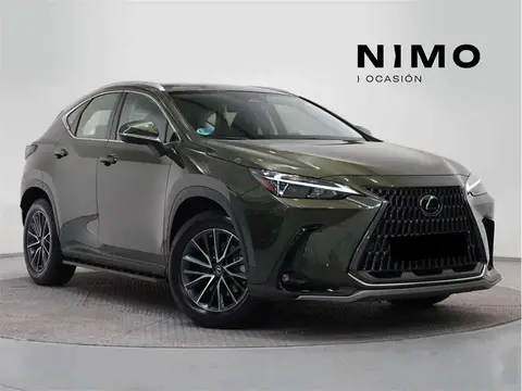 Annonce LEXUS NX Hybride 2023 d'occasion 