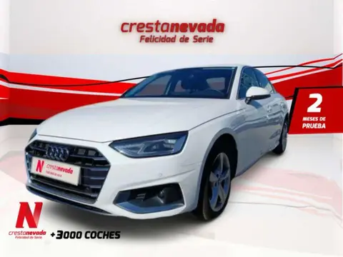 Annonce AUDI A4 Hybride 2021 d'occasion 