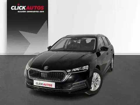 Annonce SKODA OCTAVIA Diesel 2024 d'occasion 