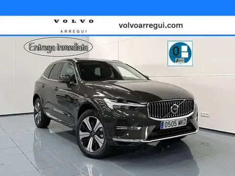 Used VOLVO XC60 Hybrid 2023 Ad 