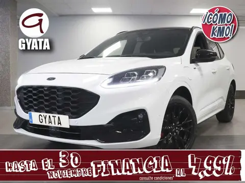 Used FORD KUGA Hybrid 2023 Ad 