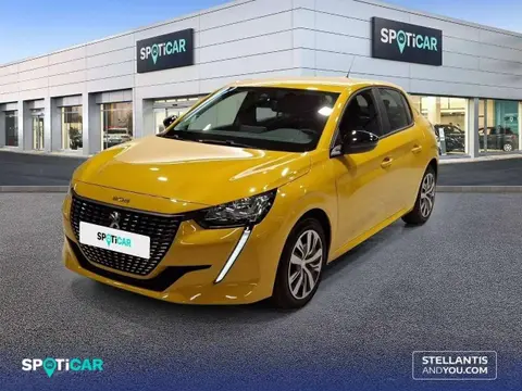 Annonce PEUGEOT 208 Essence 2023 d'occasion 