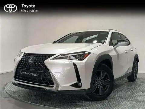 Annonce LEXUS UX  2020 d'occasion 