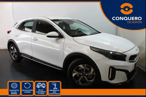 Used KIA XCEED Petrol 2023 Ad 