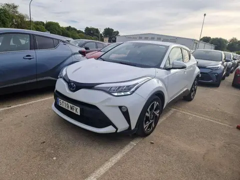 Used TOYOTA C-HR Hybrid 2023 Ad 