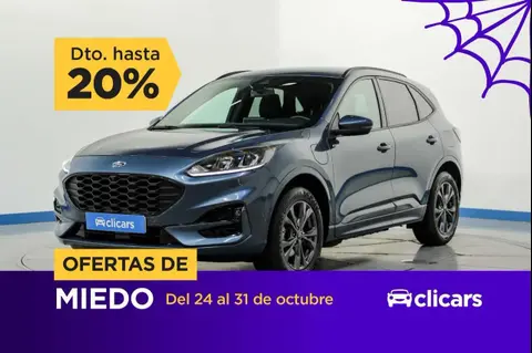 Used FORD KUGA Hybrid 2022 Ad 