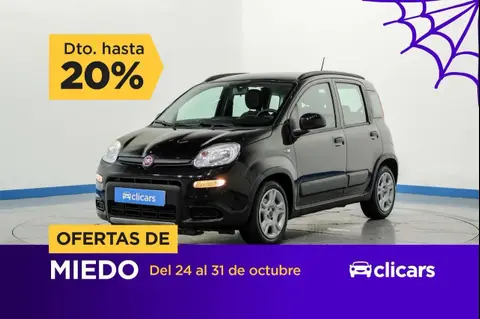 Used FIAT PANDA Petrol 2023 Ad 