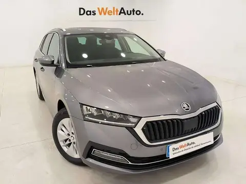 Used SKODA OCTAVIA Diesel 2023 Ad 