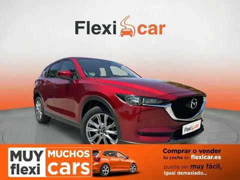 Used MAZDA CX-5 Petrol 2021 Ad 