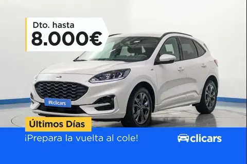 Used FORD KUGA Hybrid 2021 Ad 