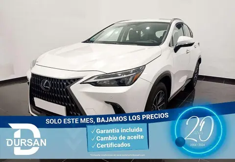 Annonce LEXUS NX Hybride 2023 d'occasion 