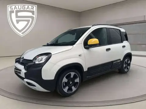 Annonce FIAT PANDA Électrique 2024 d'occasion 