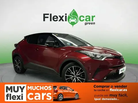 Used TOYOTA C-HR Hybrid 2018 Ad 