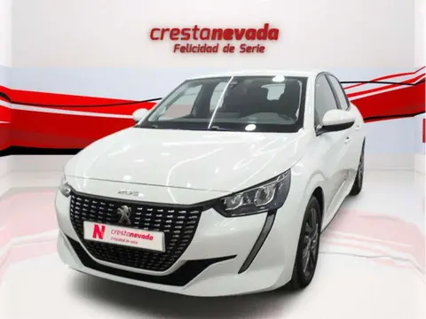 Annonce PEUGEOT 208 Essence 2021 d'occasion 