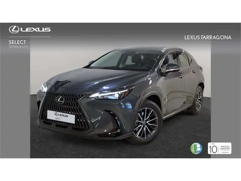 Annonce LEXUS NX Hybride 2024 d'occasion 