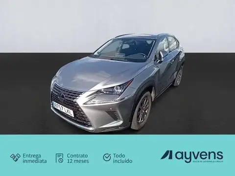 Annonce LEXUS NX Hybride 2020 d'occasion 