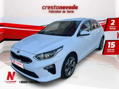 Used KIA CEED Petrol 2019 Ad 