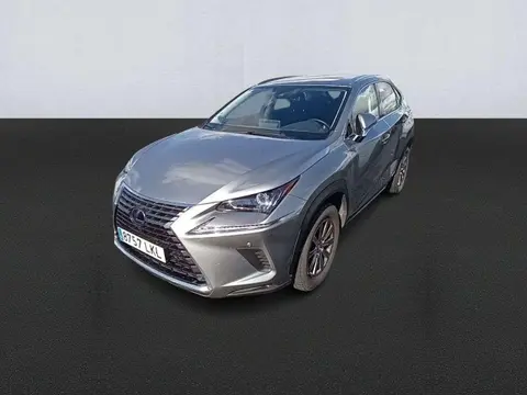 Annonce LEXUS NX Hybride 2020 d'occasion 