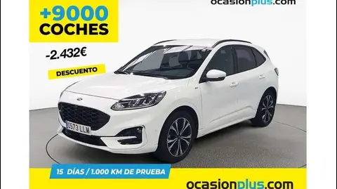 Used FORD KUGA Diesel 2020 Ad 