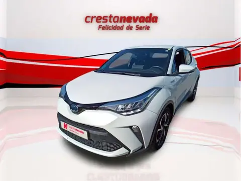 Used TOYOTA C-HR Hybrid 2021 Ad 