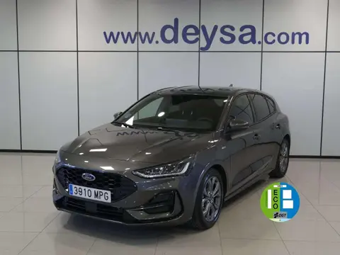 Annonce FORD FOCUS Essence 2024 d'occasion 