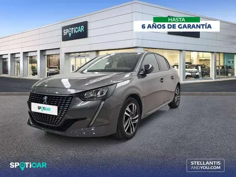 Used PEUGEOT 208 Petrol 2023 Ad 